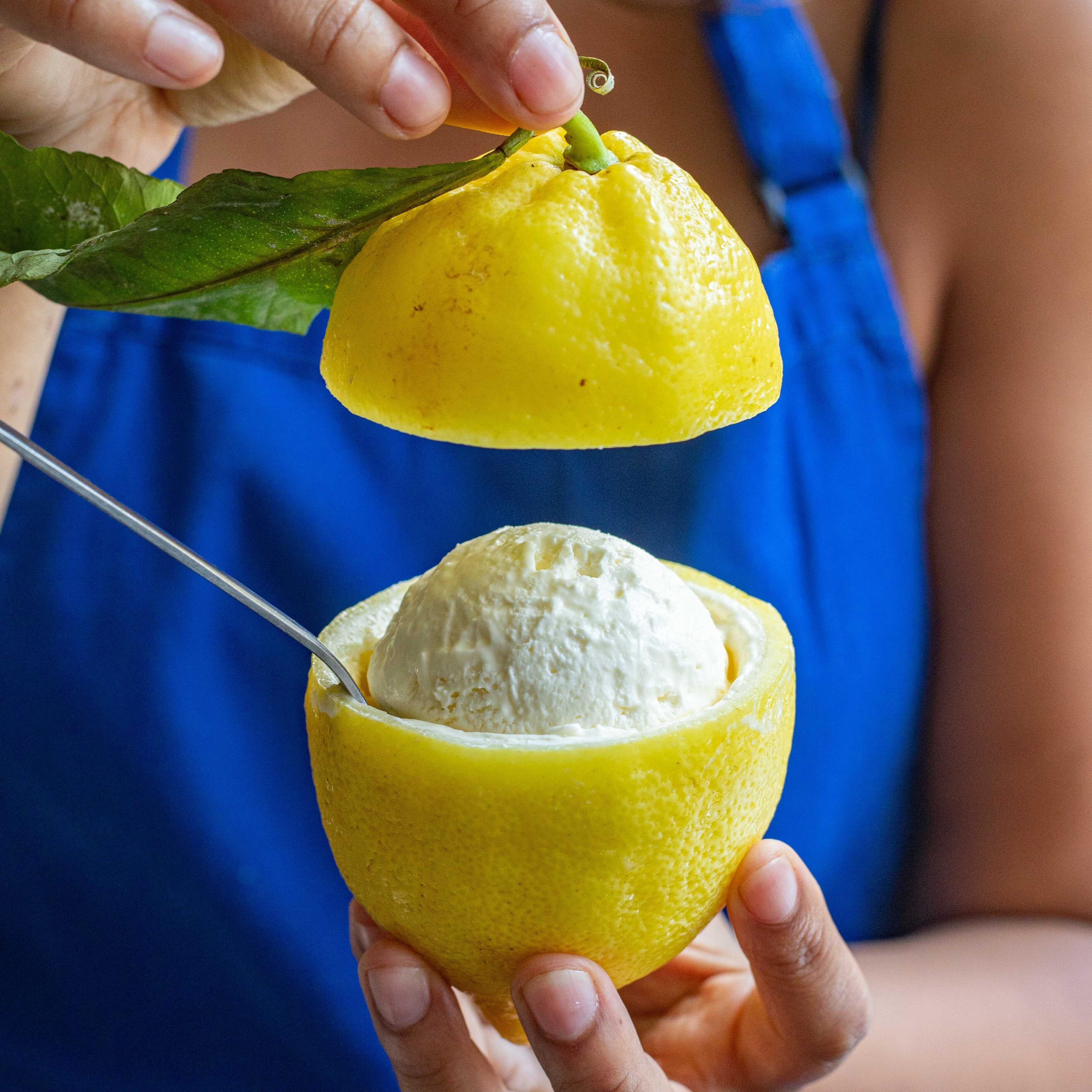 Lemon Basil Ice Cream