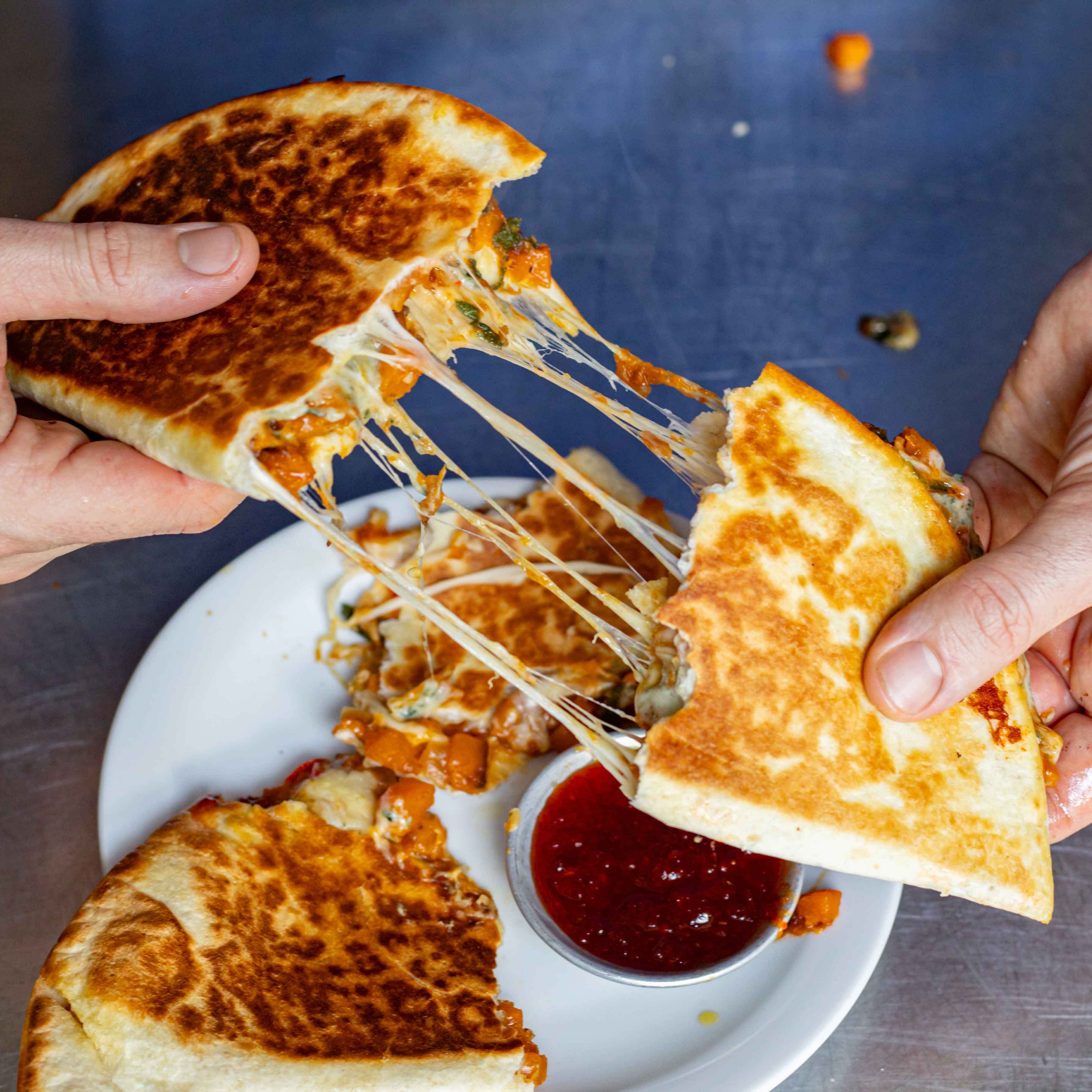 Squash Gorgonzola Quesadilla