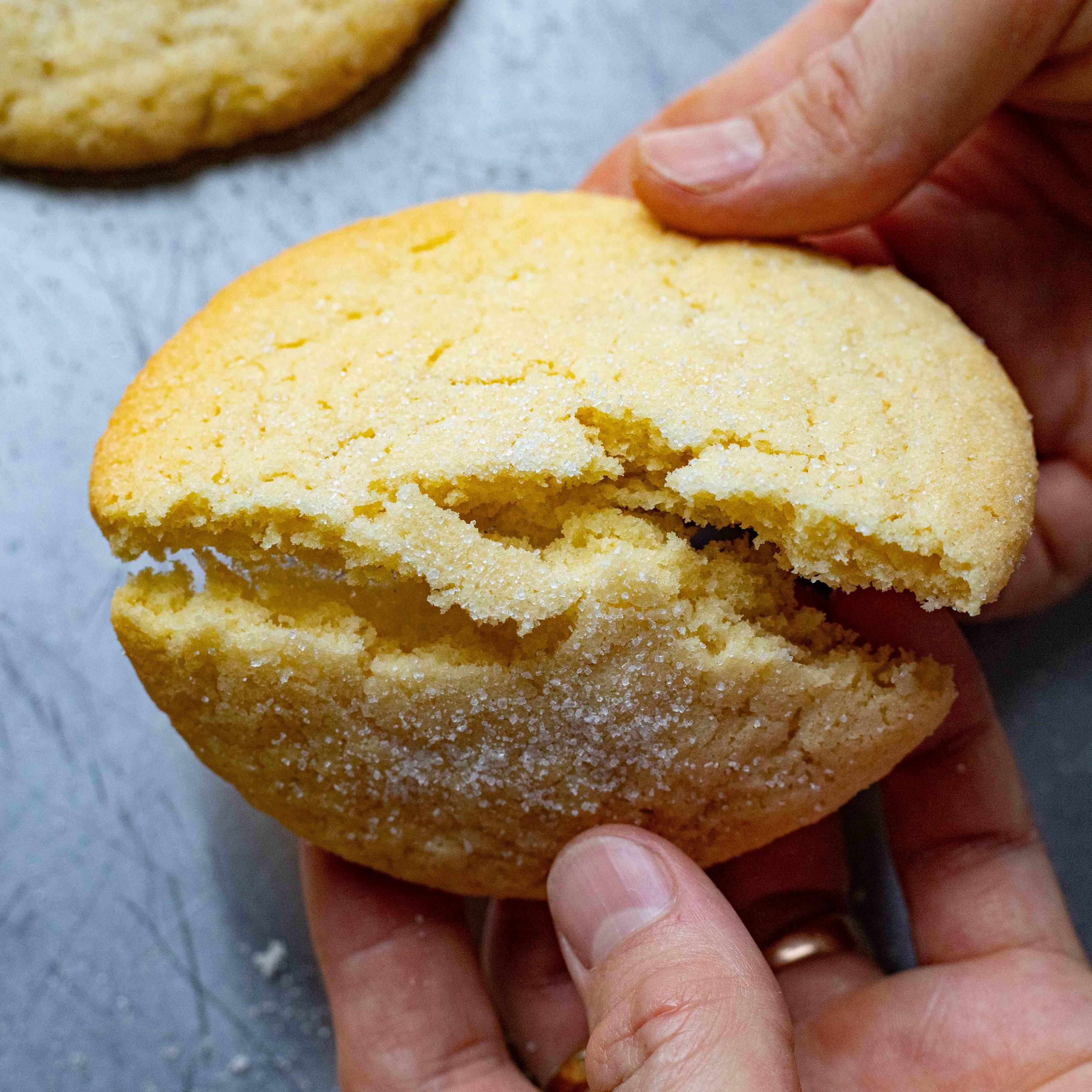 Sugar Cookies