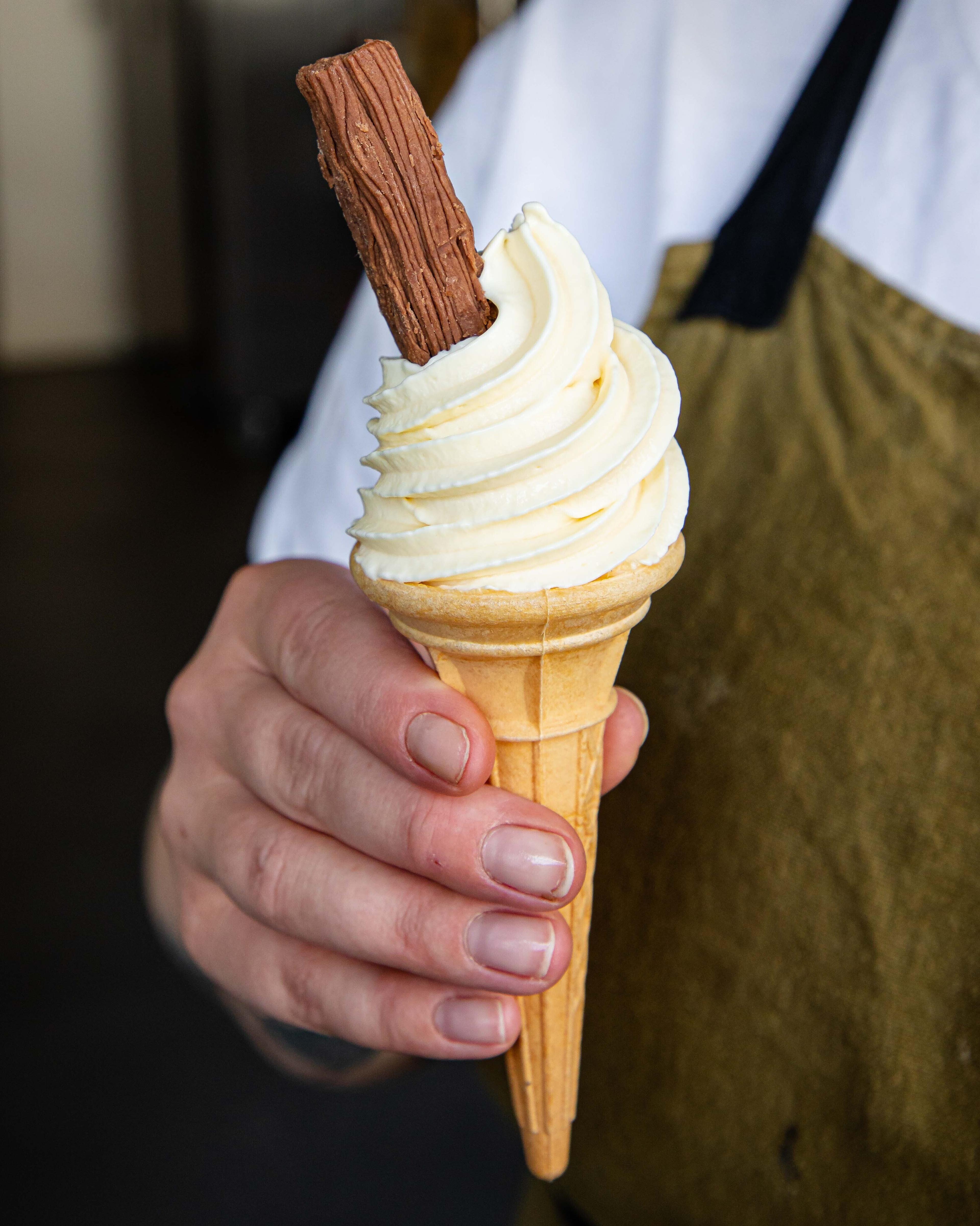 Homemade Mr Whippy